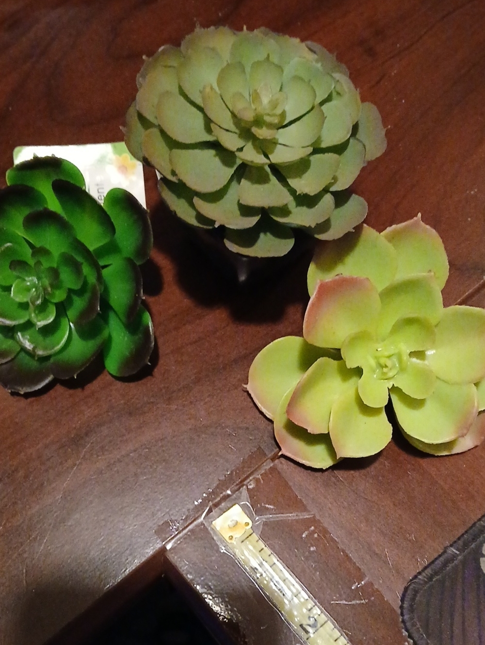 Artificial Succulent Trio - Green & Lime Decorative Plants